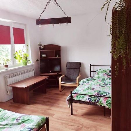 Ferienwohnung Gromadzyniowka-Pod Czarnym Kogutem Ustrzyki Dolne Exterior foto