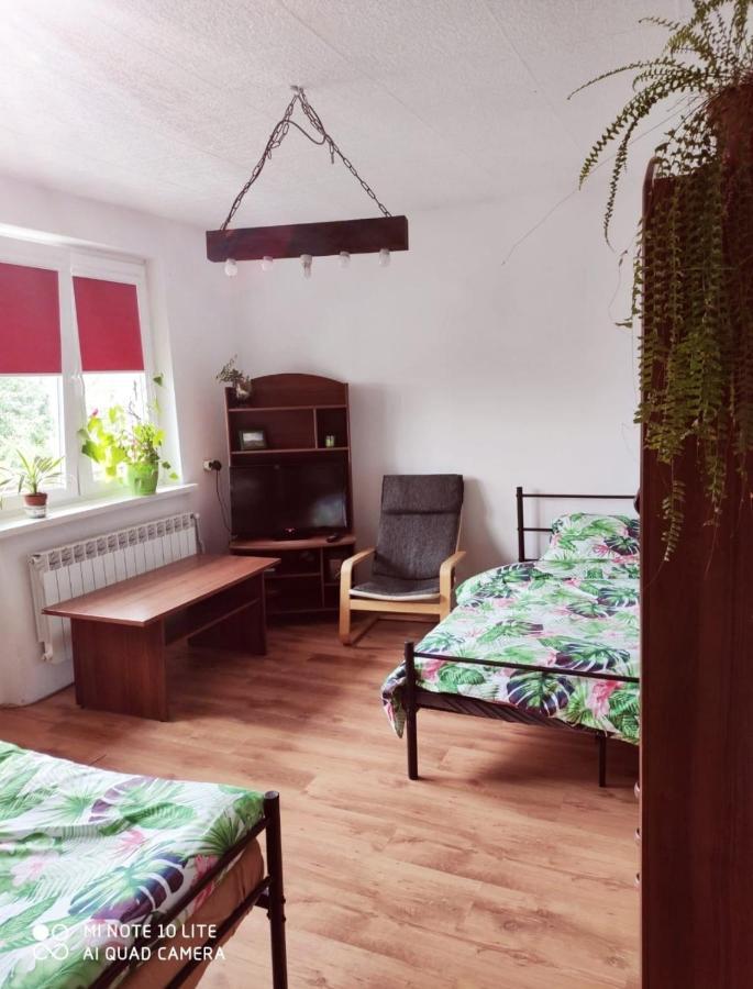 Ferienwohnung Gromadzyniowka-Pod Czarnym Kogutem Ustrzyki Dolne Exterior foto