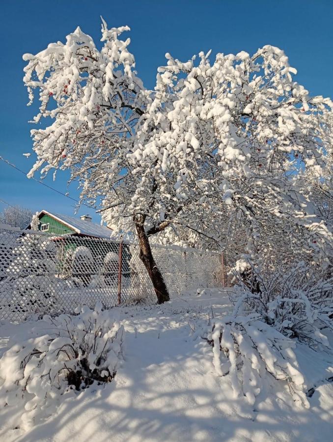 Ferienwohnung Gromadzyniowka-Pod Czarnym Kogutem Ustrzyki Dolne Exterior foto