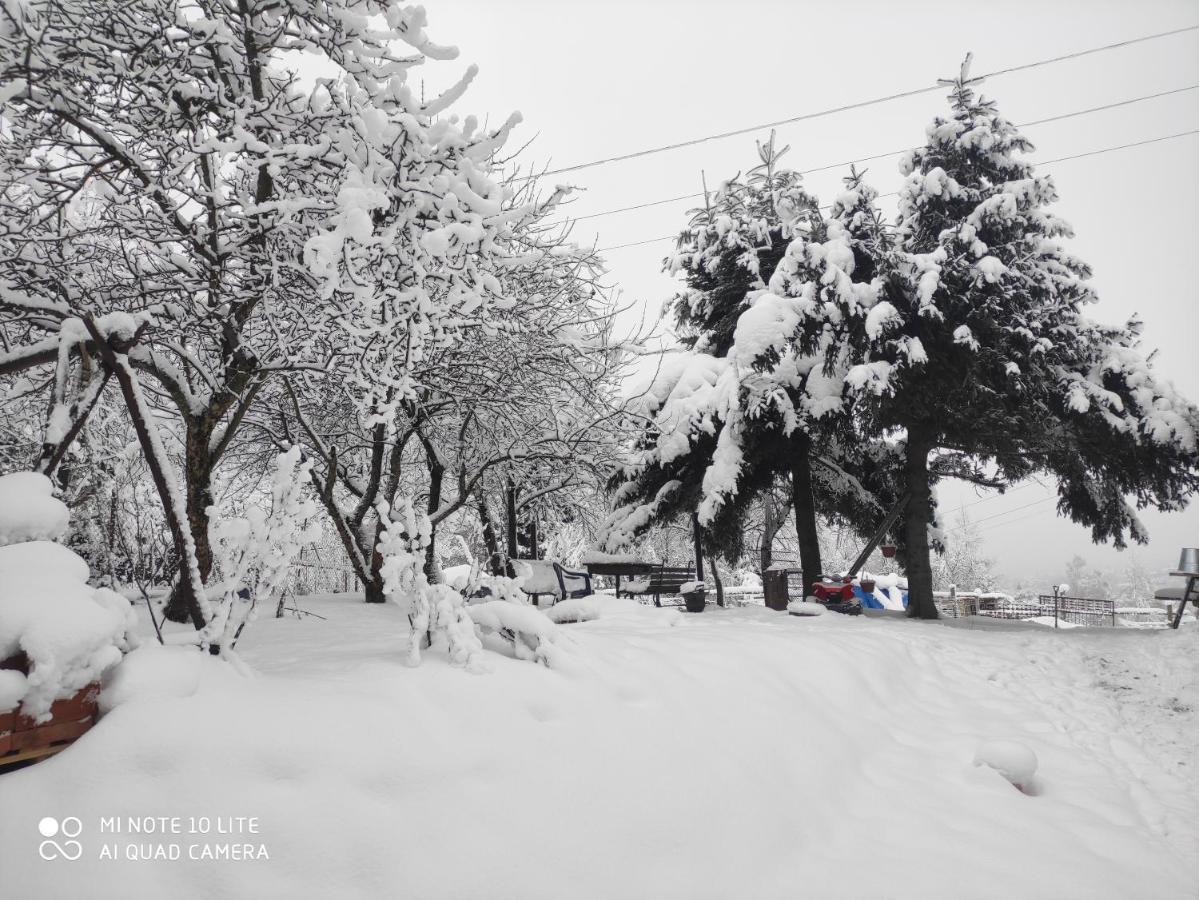 Ferienwohnung Gromadzyniowka-Pod Czarnym Kogutem Ustrzyki Dolne Exterior foto